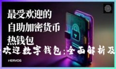 中国最受欢迎数字钱包：