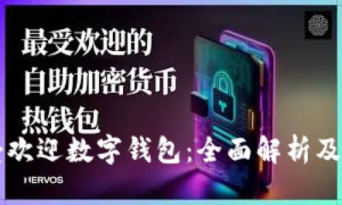 中国最受欢迎数字钱包：全面解析及使用指南