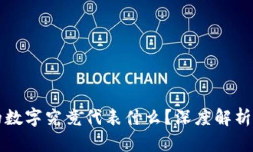钱包前面的数字究竟代表什么？深度解析与实用指南