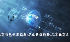深圳数字钱包使用指南：