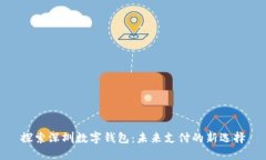 探索深圳数字钱包：未来