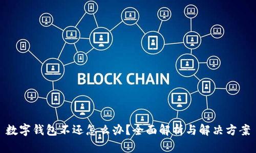 数字钱包不还怎么办？全面解析与解决方案