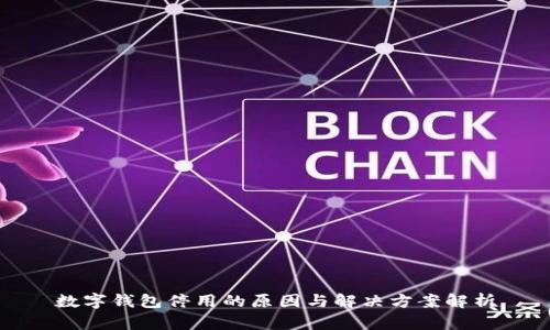 数字钱包停用的原因与解决方案解析