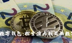 0061开头的数字钱包：探索