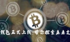 深圳数字钱包正式上线：
