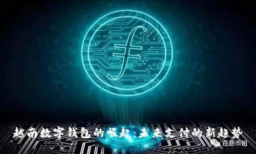 越南数字钱包的崛起：未来支付的新趋势