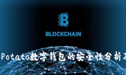 深入探究：Potato数字钱包的安全性分析及用户指南