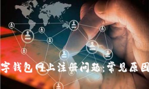 如何解决数字钱包网上注册问题：常见原因与解决方案
