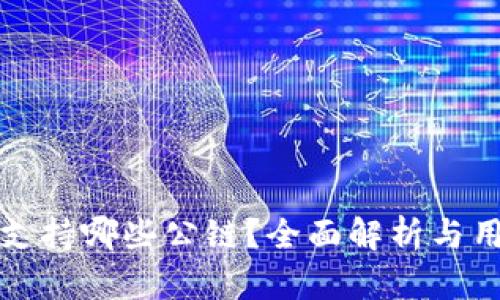 TP钱包支持哪些公链？全面解析与用户指南