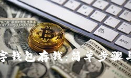 如何向数字钱包存钱：简单步骤与注意事项