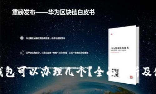 : 数字钱包可以办理几个？全面解析及使用技巧