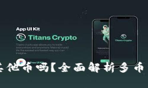 TP钱包能存其他币吗？全面解析多币种支持与使用