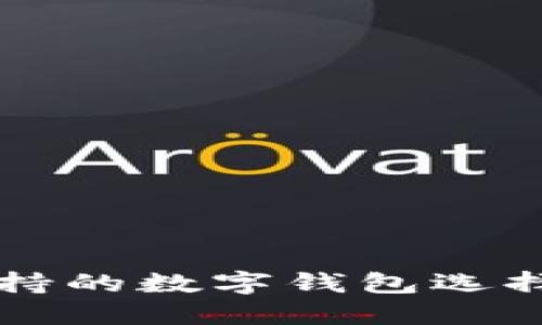 苹果手机支持的数字钱包选择及使用指南