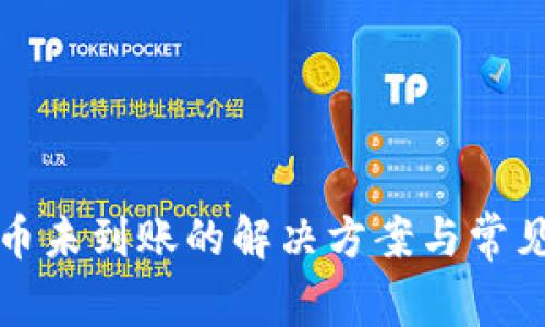 TP钱包卖币未到账的解决方案与常见问题解析