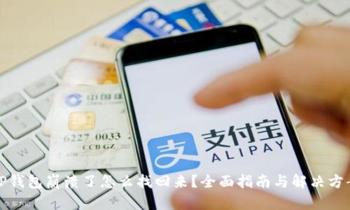 TP钱包崩溃了怎么找回来？全面指南与解决方案