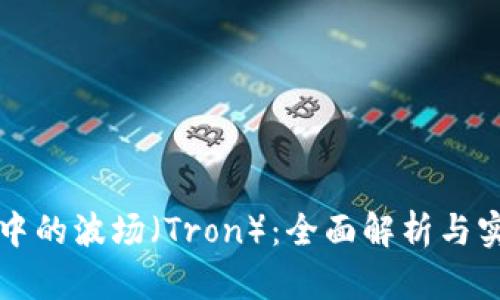 TP钱包中的波场（Tron）：全面解析与实用指南
