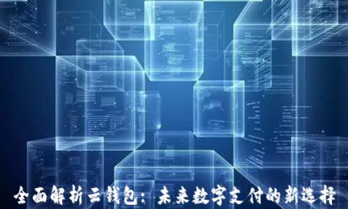 
全面解析云钱包: 未来数字支付的新选择