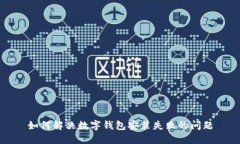 如何解决数字钱包安装失