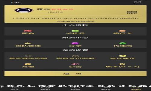 tp钱包如何获取TXT文件的详细指南