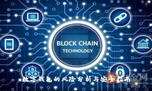 数字钱包的风险分析与安全指南