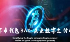 央行数字币钱包BAC：未来