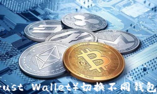 如何在TP(Trust Wallet)切换不同钱包:全方位指南
