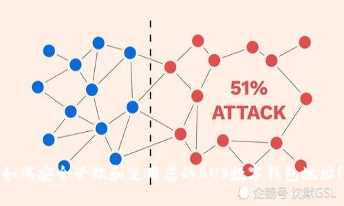 如何安全管理和使用您的BUS数字钱包地址？