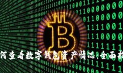 如何查看数字钱包资产情