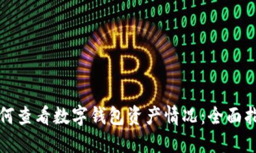 如何查看数字钱包资产情况：全面指南