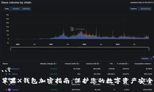 ```
苹果X钱包加密指南：保护您的数字资产安全