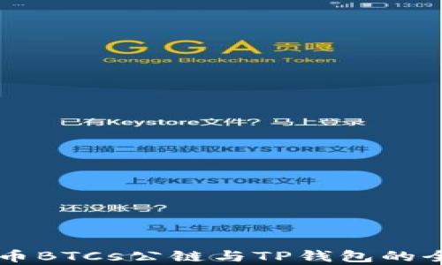 
中本聪币BTCs公链与TP钱包的全面解析