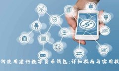 如何使用建行数字货币钱包：详细指南与实用技